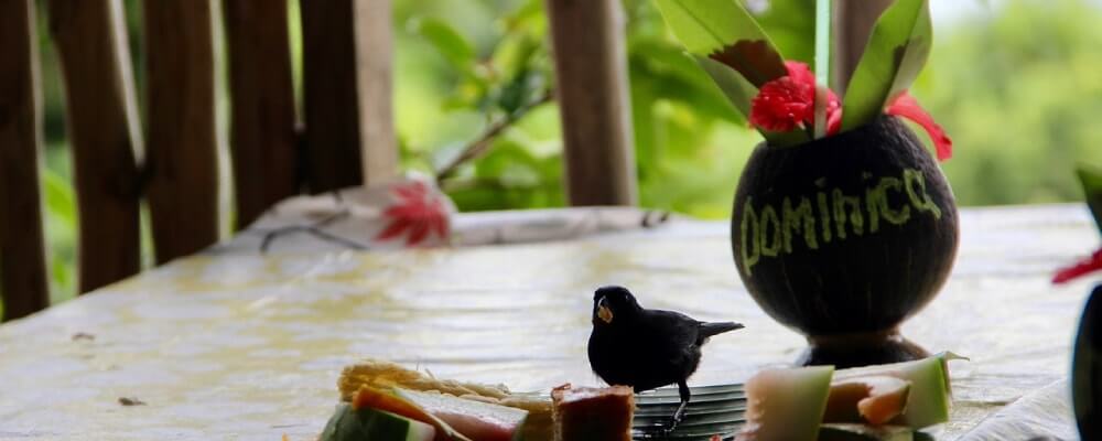 Citizenship By Investment In Dominica