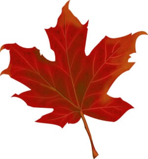 designated country of origin