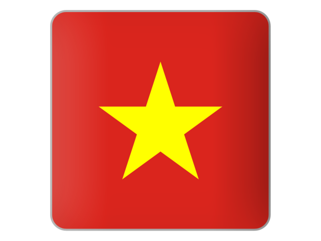 vietnam square icon